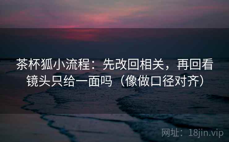 茶杯狐小流程：先改回相关，再回看镜头只给一面吗（像做口径对齐）